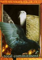 Verticle Oracle card